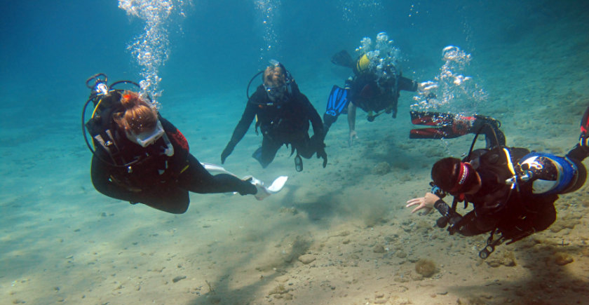 Divers being shown an Octopus at Cabo de Palos
