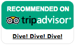 Tripadvisor Logo