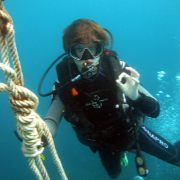 Diver ascending the shot line