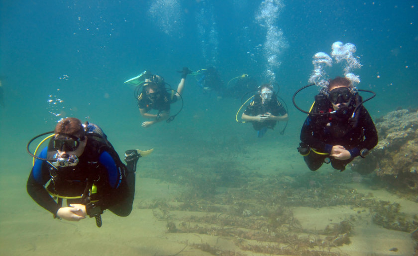 Divers being guided at Cabo de Palos